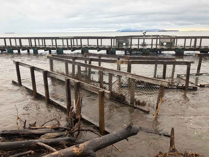 Damage to Boardwalk and Trails at Mission Island Marsh Conservation Area