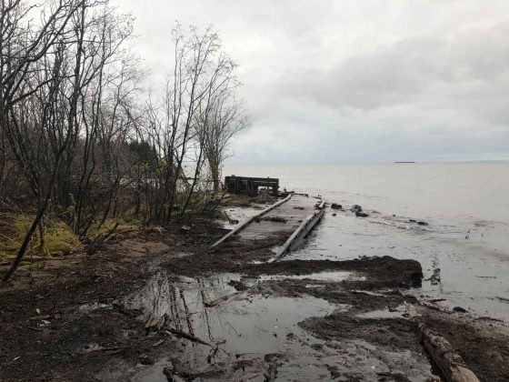 Damage to Boardwalk and Trails at Mission Island Marsh Conservation Area