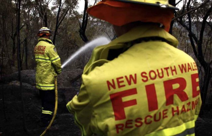 ARCHIVE PHOTO: A firefighter hoses down bushland after a bushfire passed through the area near homes in the Sydney suburb of Pymble November 8, 2013. REUTERS/David Gray