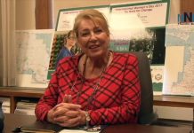 A Conversation on PARO with Rosalind Lockyer