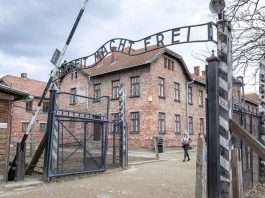 On This Day in 1945: Adolf Hitler Takes His Own Life in Berlin Bunker KL Auschwitz was the largest of the German Nazi concentration camps and extermination centers. Over 1.1 million men, women and children lost their lives here.