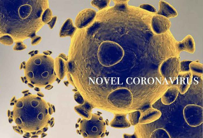 novel coronavirus