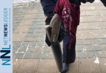 Manitoba RCMP Arrest Man with Sawed-Off Shotgun Image - RCMP - Sawed Off Shotgun Seized from Winnipeg Beach man