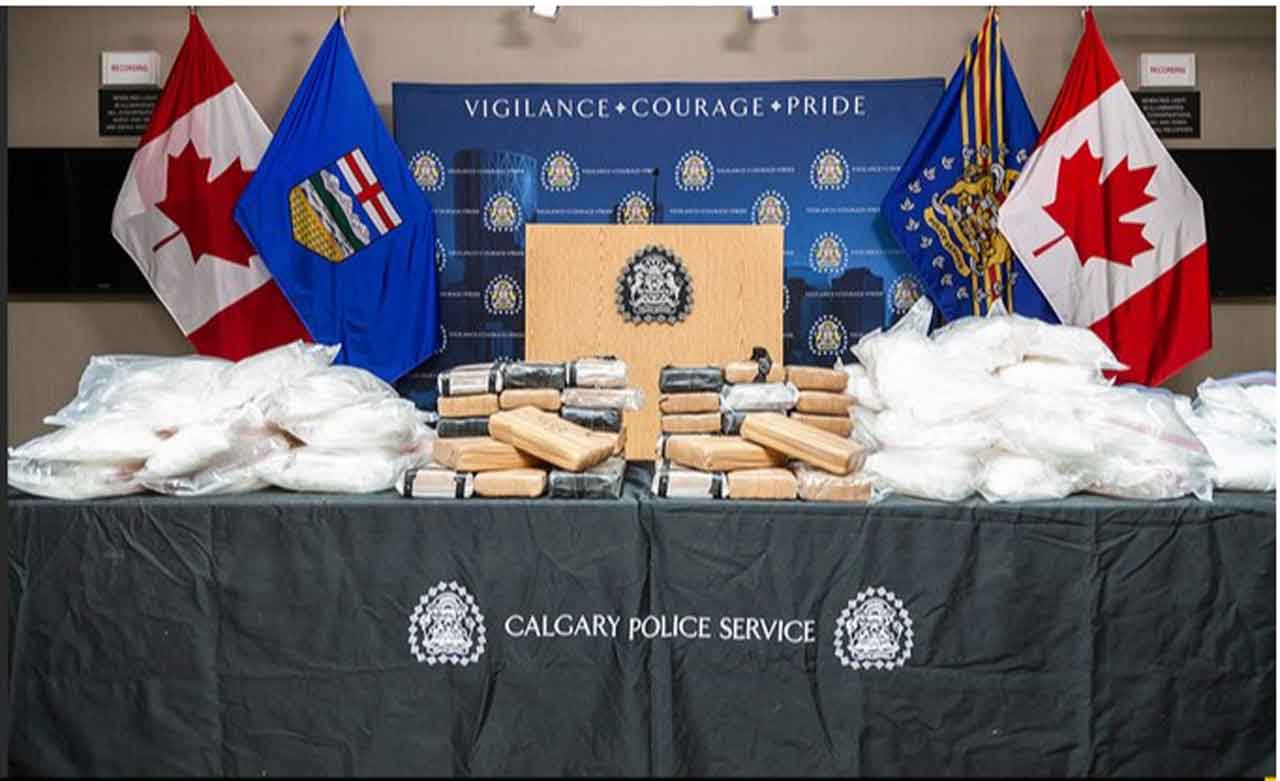 Nearly $10 Million in Drugs Seized 