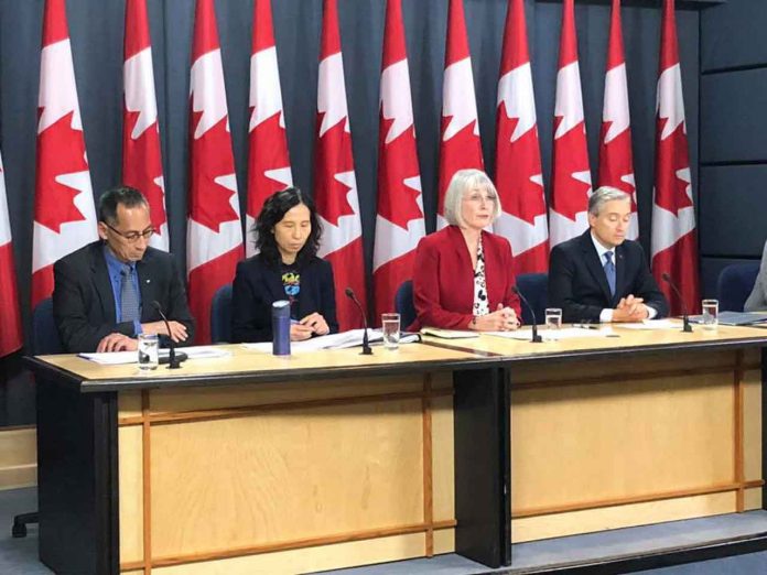 Canada's Minister of Health Patty Hajdu at briefing on February 6, 2020 in Ottawa