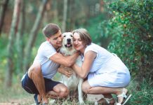 Mastering Microchip Lookup: Tips for Efficiently Tracing a Pet’s Microchip Information Mastering Microchip Lookup: Tips for Efficiently Tracing a Pet's Microchip Information