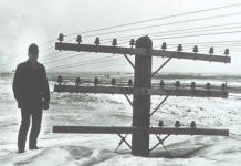 Massive Blizzard on March 4, 1966 Shut Down Winnipeg Winnipeg Blizzard 1966