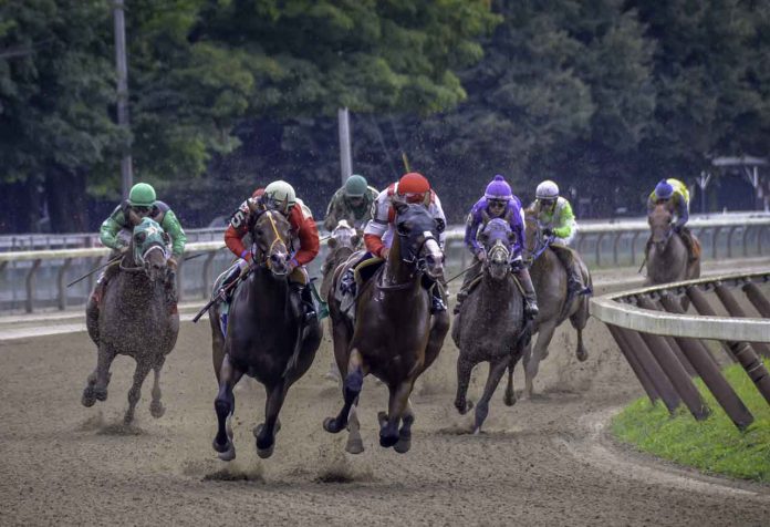 7 Factors That Affect the Outcome of a Horse Race