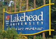 Lakehead University named a leader in artificial intelligence research Lakehead University
