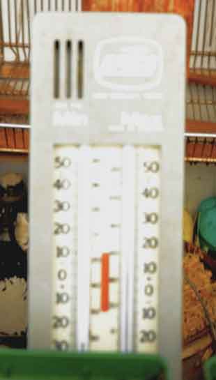 Here is a minimum/maximum thermometer. There are many types of them, and this isn’t mandatory, but it is helpful if using a greenhouse to gage the temperature during the day and night. Don’t let it drop below freezing, and don’t let it get too hot.