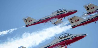 Conservatives Push Back Over Snowbirds Future as Ottawa Reviews Aging Tutor Fleet The Canadian Forces Snowbirds (431 Air Demonstration Squadron) perform over 19 Wing Comox. 431 (AD) Squadron and CF-188 Demo Team deployed to 19 Wing Comox to complete training prior to the start of the 2017 Air Show season. Approximately 42 personnel and 14 CT-114 aircraft deployed to 19 Wing Comox for the Canadian Forces Snowbirds. Pilots will acquaint themselves with mountainous terrain and over-water show sites. Images by MS Roxanne Wood 19 Wing Imaging 2017, DND-MDN Canada