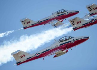 Conservatives Push Back Over Snowbirds Future as Ottawa Reviews Aging Tutor Fleet The Canadian Forces Snowbirds (431 Air Demonstration Squadron) perform over 19 Wing Comox. 431 (AD) Squadron and CF-188 Demo Team deployed to 19 Wing Comox to complete training prior to the start of the 2017 Air Show season. Approximately 42 personnel and 14 CT-114 aircraft deployed to 19 Wing Comox for the Canadian Forces Snowbirds. Pilots will acquaint themselves with mountainous terrain and over-water show sites. Images by MS Roxanne Wood 19 Wing Imaging 2017, DND-MDN Canada