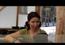 Welcome to Week 2! Bumping up your Veggies and the Soil to Use! The Singing Green Thumb - Shy-Anne Bartlett