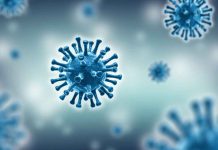 Statement from Canada’s Chief Public Health Officer Dr. Theresa Tam COVID-19