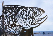 Hospice Northwest Seeks Volunteers Thunder Bay