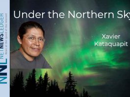UNDER THE NORTHERN SKY – Every Step Towards The Future Counts Under the Northern Sky
