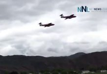 Canadian Snowbird Crashes near Kamloops