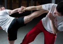 Blaydes vs. Volkov – UFC Fight Night Fest Coming Up Blaydes vs. Volkov – UFC Fight Night Fest Coming Up