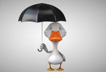 Heavy Rain, Thunderstorms Rolling In — Be Ready, Thunder Bay! Rainfall