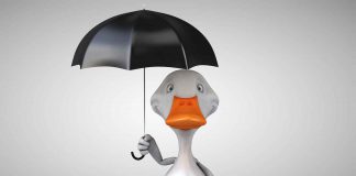 September 7-9, 2026: Thunder Bay Forecast — Showers and Thunderstorms Rainfall