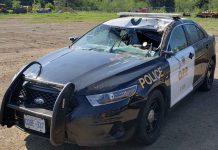 Collision with Moose Seriously Damages OPP Cruiser Image: OPP
