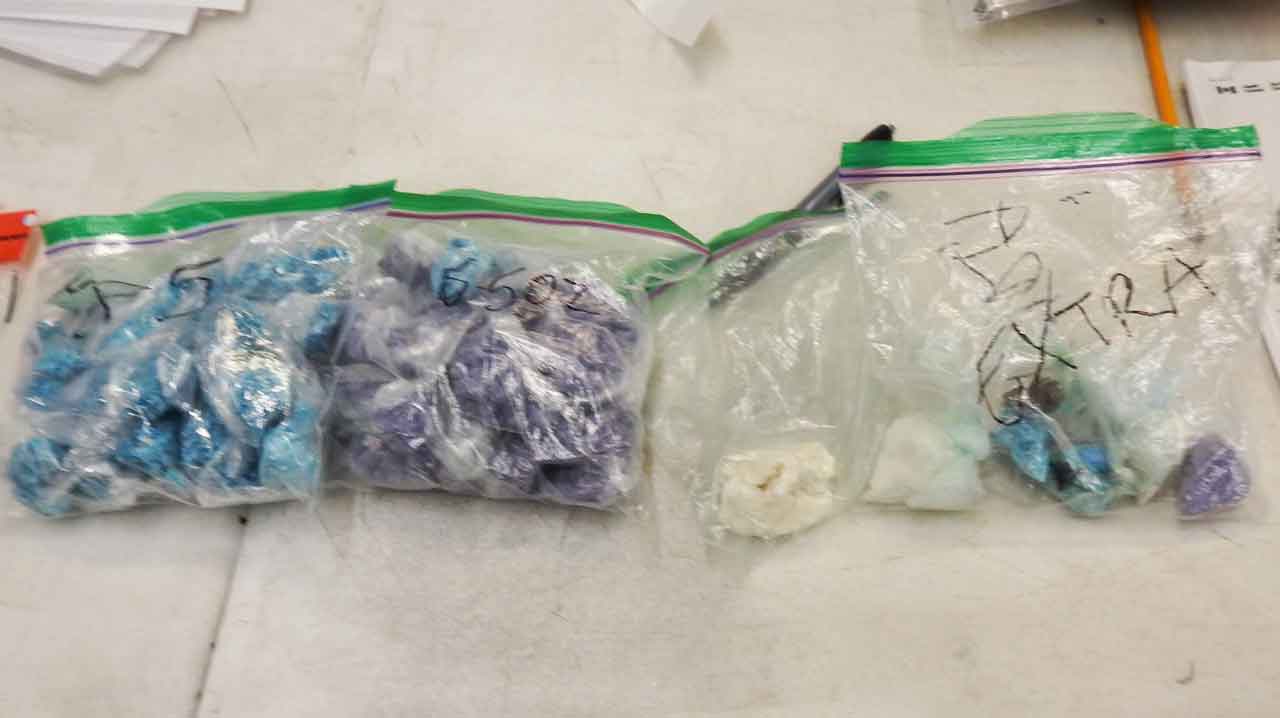 Drugs Seized in Raid on Van Norman Street home - Image TBPS