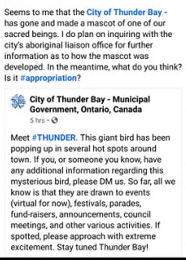 Comments on Social Media regarding the City of Thunder Bay's decision on a mascot were swift and mainly negative.
