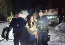 Sentencing of land defenders sends ‘chilling message’ about Indigenous rights Wet'suwet'en Land Defenders