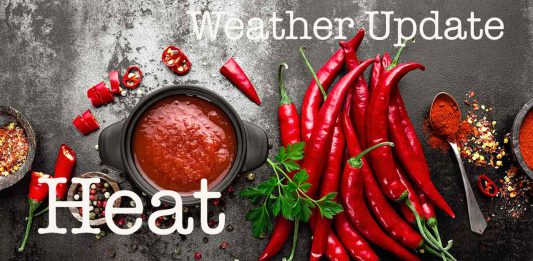 July 27, 2026: Heat Warning Issued for Kenora and Lake of the Woods as Temperatures Reach 31°C Weather - Heat Warning
