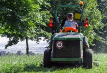 How to Kill and Prevent Ticks in Your Lawn Lawn Alternatives