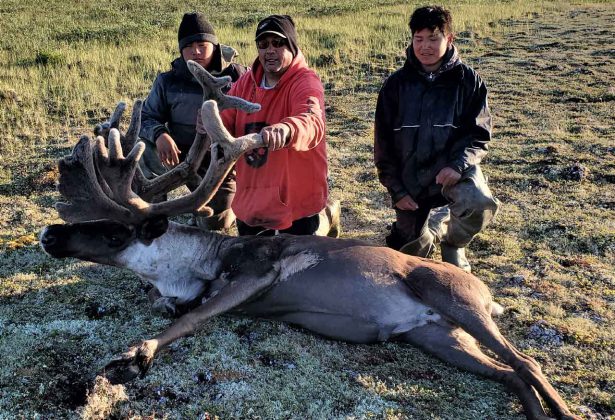 A Caribou Harvested to feed a family - Image Warrant Office Ron Wen, Canadian Rangers.