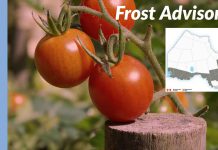 August 17, 2025: Armstrong & Area Weather Forecast – Frost Advisory in Effect Frost Advisory