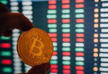Afghans Embrace Cryptocurrency Amid Financial Crisis Strategic Thinking and Approaching Styles of Bitcoin Investment Plans