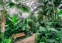 Centennial Conservatory Temporary Closure January 1 2023 Centennial Conservatory