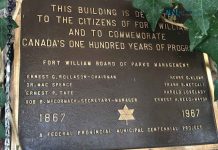 Centennial Conservatory – Talking with Documentary Filmmaker Torin Gunnell Thunder Bay Centennial Conservatory