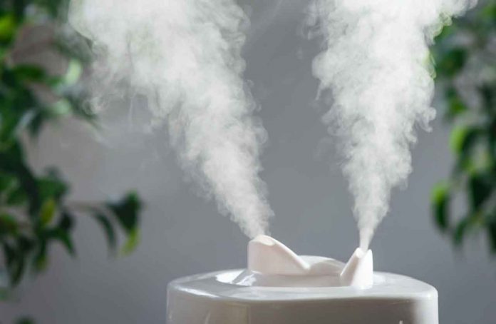 10 Surprising Health Benefits of Humidifiers