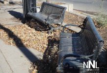 Use COVID-19 to build back better, cities told The leaves are thick on the ground on Simpson Street in Thunder Bay