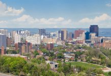 Ontario seeks public input into draft wild pig strategy and updates to Invasive Species Act Ontario Press Conference