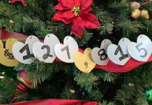 Donors on Giving Tuesday Get Our Community One Step Closer to Cardiovascular Surgery Giving Tuesday at TBRHSF