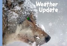 April 14, 2021 – Western and Northern Ontario Weather Outlook Winter Weather Update Splash