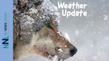 Winter-Weather-Update-splash