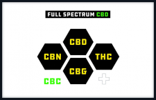 Understanding CBD Spectrum Types