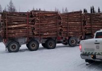 Greenstone-OPP-Traffic-Blitz-pic2