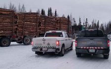 Greenstone-OPP-Traffic-Blitz-pic4