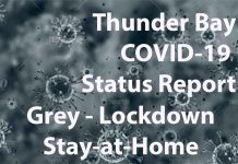 Ontario Implements Emergency Order 7.0.1 (1) – Stay at Home Order Thunder Bay COVID-19 Status Update