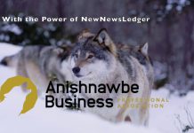 Anishnawbe Business Professional Association Update with Jason Rasevych ABPA