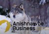 Anishnawbe Business Professional Association Applauds Appointment of Jason Rasevych to NADF Board of Directors APBA Business