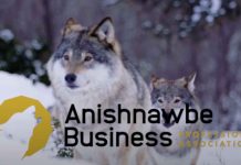 ABPA Warns Proposed Mining Disclosure Rules Will Hide Critical “Ring of Fire” Risks from Investors APBA Business