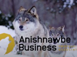 Thunder Bay Indigenous Advisors to Host Webinar on Sovereign Wealth and the Future of IBAs APBA Business