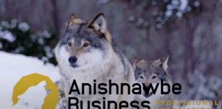 ABPA launches Indigenous relations reporting and natural asset valuation initiative APBA Business